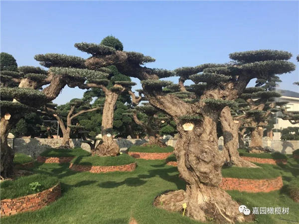 微信圖片_20201211100655.jpg 微信圖片_20201211100655.jpg