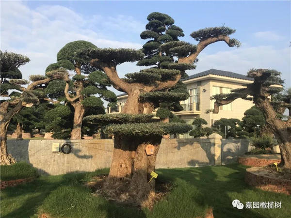 微信圖片_20201211100658.jpg 微信圖片_20201211100658.jpg