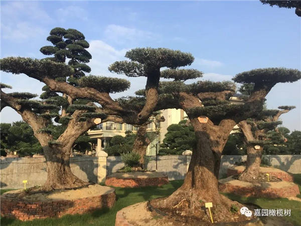 微信圖片_20201211100701.jpg 微信圖片_20201211100701.jpg