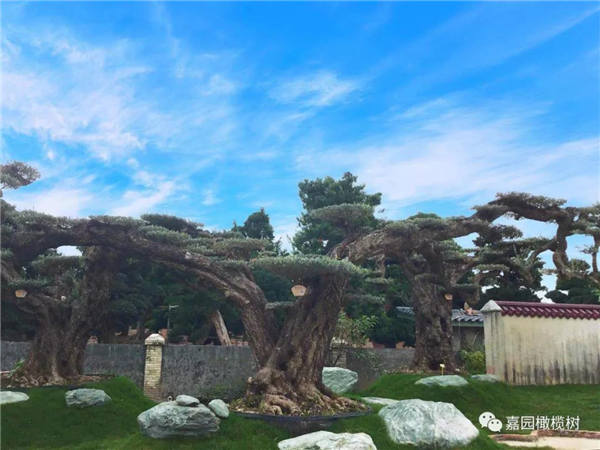 微信圖片_20201211100944.jpg 微信圖片_20201211100944.jpg