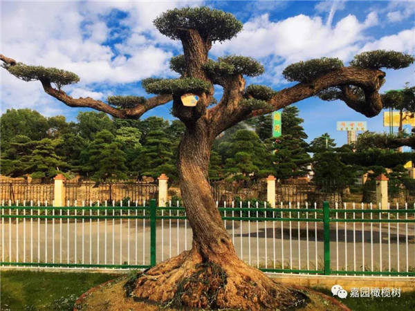 微信圖片_20201211100937.jpg 微信圖片_20201211100937.jpg