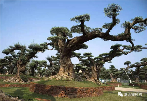 微信圖片_20201211101535.jpg 微信圖片_20201211101535.jpg