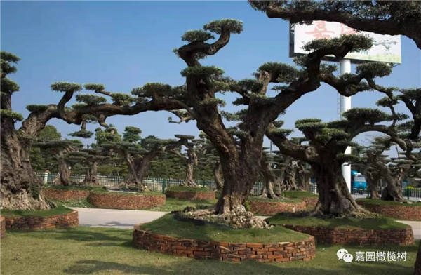 微信圖片_20201211101539.jpg 微信圖片_20201211101539.jpg