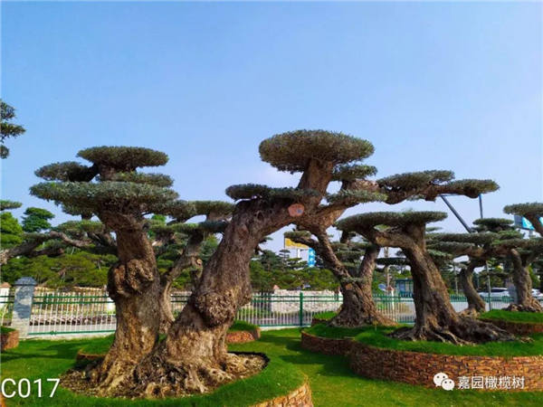 微信圖片_20201211101952.jpg 微信圖片_20201211101952.jpg