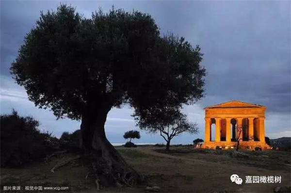 微信圖片_20201211101954.jpg 微信圖片_20201211101954.jpg