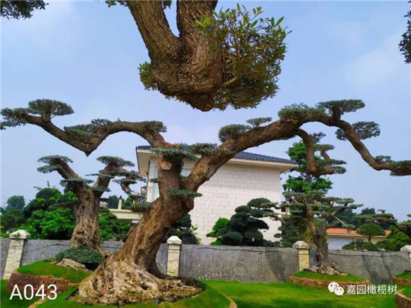 微信圖片_20201211102531.jpg 微信圖片_20201211102531.jpg