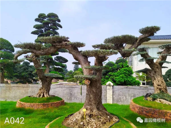 微信圖片_20201211102538.jpg 微信圖片_20201211102538.jpg