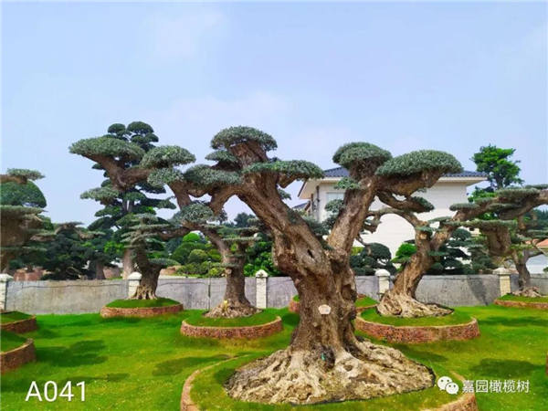 微信圖片_20201211102545.jpg 微信圖片_20201211102545.jpg